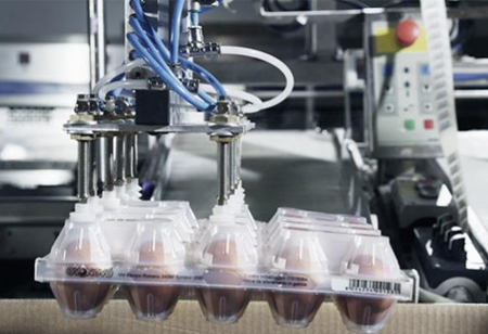 An Overview of the Benefits of Industrial Food Packaging Automation