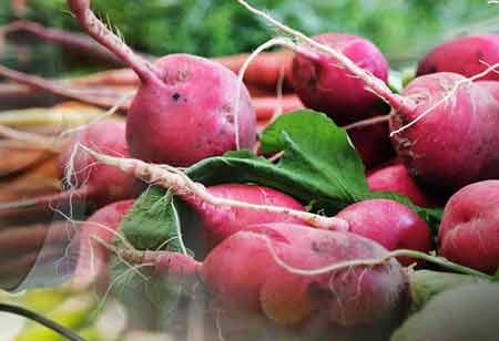 Sweegen to Provide Sweet Flavor Solutions for Food and Beverage Producers