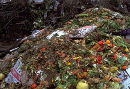 Technology Helps Reduce Food Processing Waste