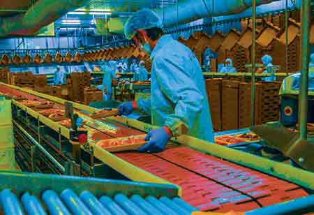 Automation Technologies Mitigates Labor Shortages 