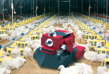 How Artificial Intelligence Can Benefit Poultry Farms