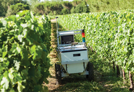 How Robots and Machine Vision Enhances Wine and Agricultural Operations