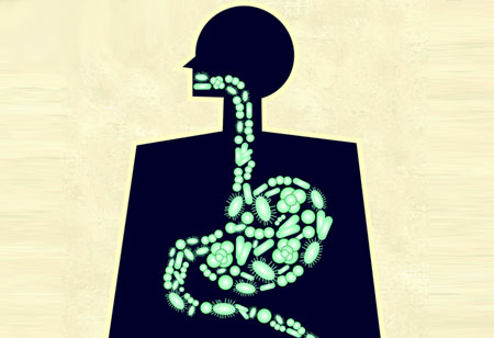 Gut Microbiome Research: How is it Transforming Medicine?
