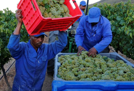 Can Off-Grid Cold Storage System Be Deemed as a Boon for the Farmers?