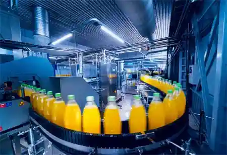 How Digital Technologies are Transforming the Food Industry 