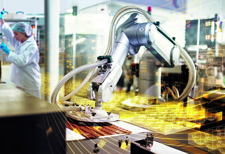 A Transformation Focused on Automation in the Food Industry
