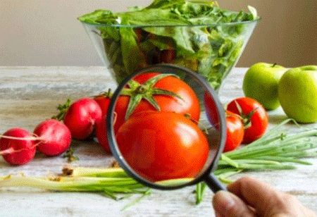 From Farms to Plates: Ensure the Food Safety
