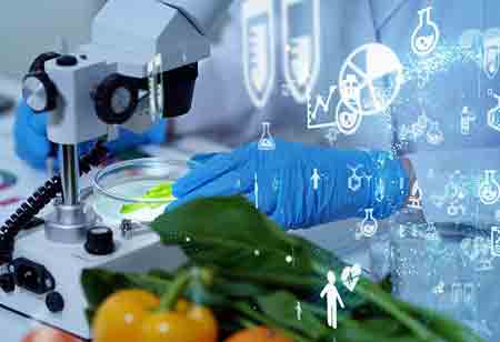 Growth of Food Business in Thailand in the Post-pandemic Era 