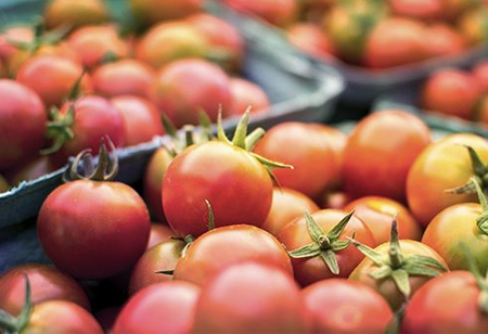 How Food Automation and Robotics Market has been Impacted by Covid-19?