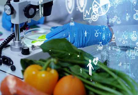 Outlook on the European Union Sustainability