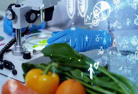 How Technology has Transformed Wine Making