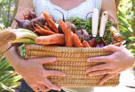 Can Plant-Based Diet Overshadow Meat Production?