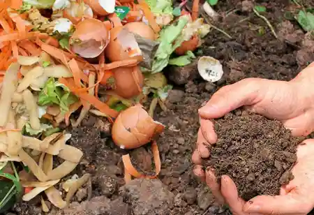 What are the Latest Waste Management Techniques?