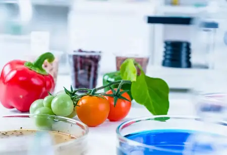 Benefits of Automation in Food Processing Industries