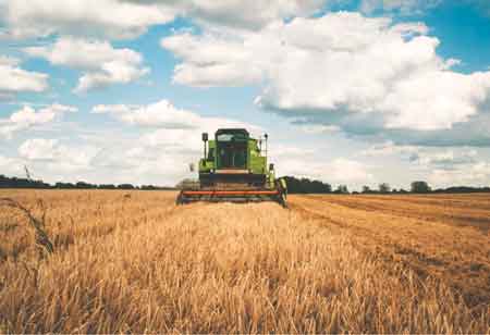 How are Companies Adopting Sustainability Practices?