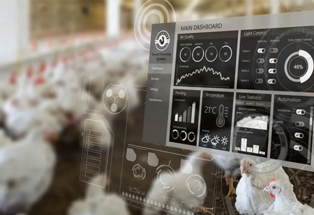 Why AI is Significant in the Poultry Industry?