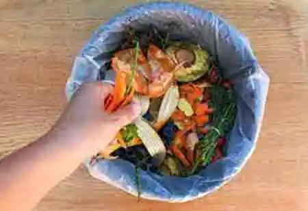 Technology: A Catalyst to Combat Food Waste 