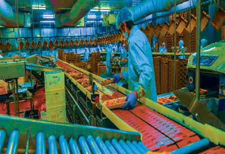 Role of preventative programs like EMP to ensure food safety and quality