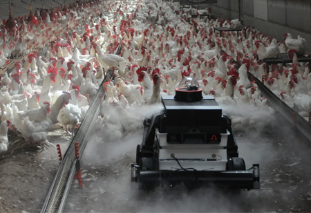 How is Technology Taking the Meat Industry to New Horizons