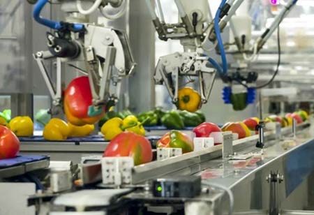 How Automation Helps Food Sector