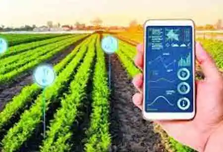 Agricultural Value Chain: Deploying Cutting-Edge Technologies to Keep Food Safe