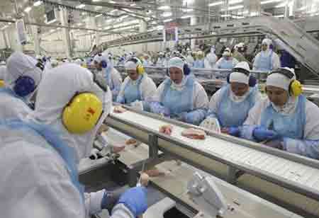 How Important is Hygiene in the Poultry Industry?