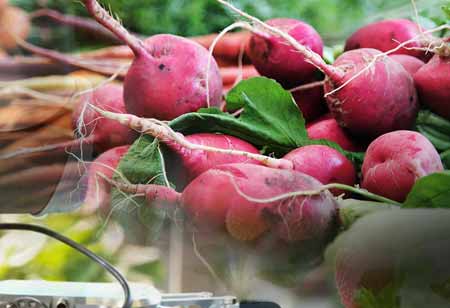 Automating Food Manufacturing Best Practices