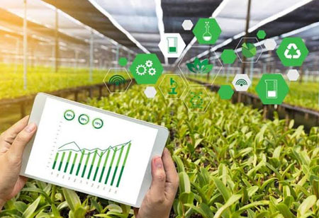 How is IoT a Driving Force for Revamping the Food Industry?
