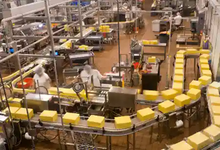 How Big Data Benefits the Food Service Industry
