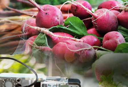 The Food Processing Equipment Market is expected to accumulate substantial revenue by 2027