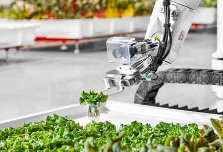 Can AR and 3D Printing Justify the Technological Developments in the Food Industry?