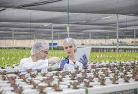Technology's Role in Making Food Sector More Sustainable