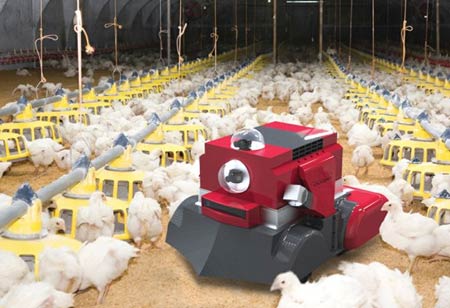 How is Robotics Revolutionizing the Poultry Industry?