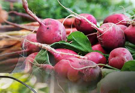 How the Food Industry is Embracing Sustainability