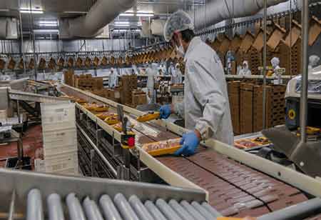 Development Of New Products In The Food Industry With The Incorporation Of Agile Techniques