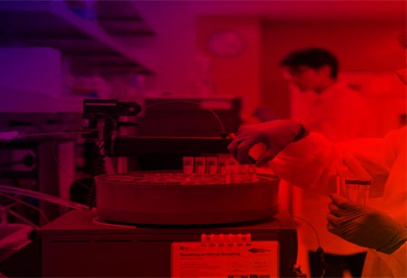 Digitalizing the Food Industry to Meet Shortages 