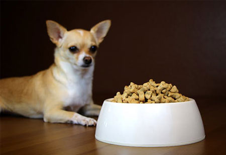Pet Parents' Expectations Defining the Tendencies in Pet Food 