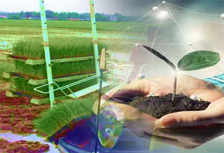 Unveiling Benefits and Drawbacks of Food Processing