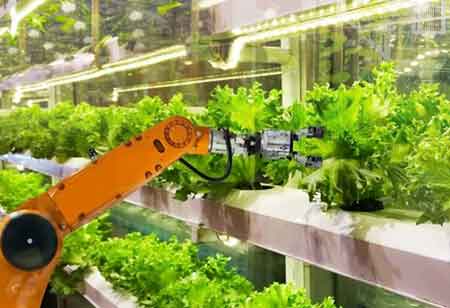 Technologies Transforming the Poultry Industry