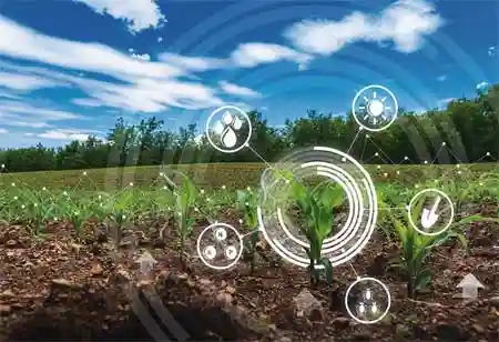 The Role of AI in Precision Livestock Farming 