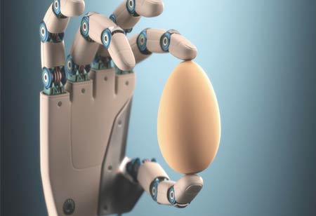 Challenges of Automation in the Food Industry