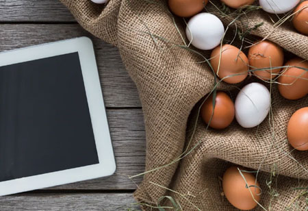 Top 3 Inspirational Technologies That Poultry Industry Should Embrace 