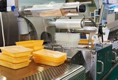 GFI Releases PISCES to Help Develop Plant-Based Seafood Products