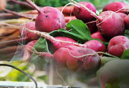 Enhancing the Wine Industry Through the Evolution of Technology