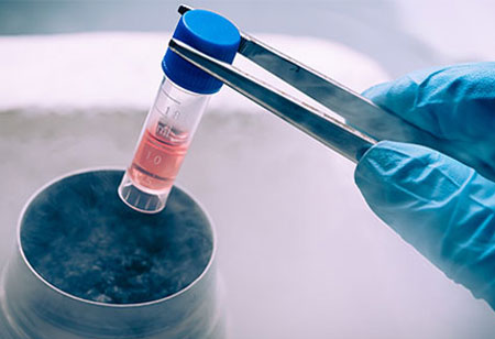Bioengineering to reach out the Harmony