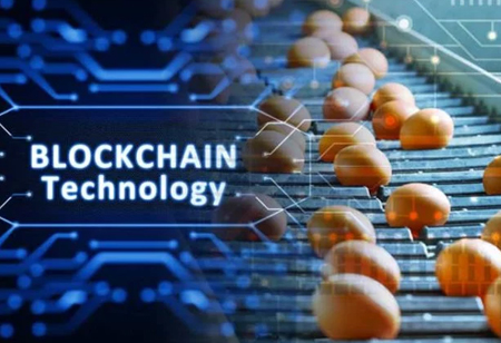 The Potential of Blockchain in the Food Industry
