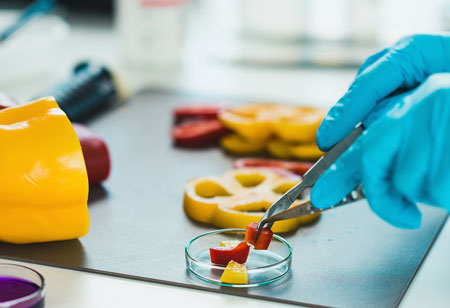 How Does Technology Help Offer Impeccable Food Services?