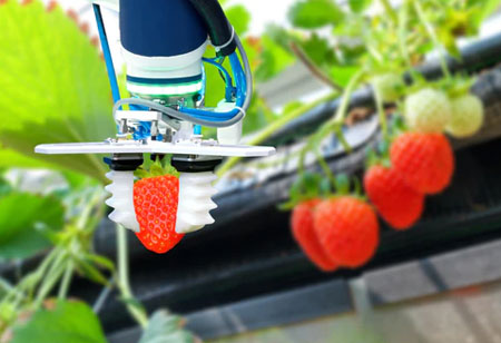 How Data Analytics and Data Prediction are Augmenting the Food Industry?