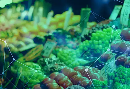 Methods of Sustainable Agriculture