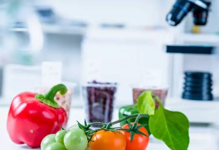 Getting Retail Ready With the Top Five Food Packaging Trends of 2022